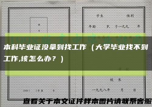 本科毕业证没拿到找工作（大学毕业找不到工作,该怎么办？）缩略图