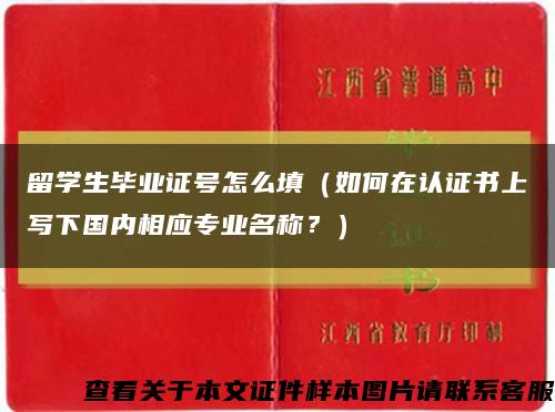 留学生毕业证号怎么填（如何在认证书上写下国内相应专业名称？）缩略图