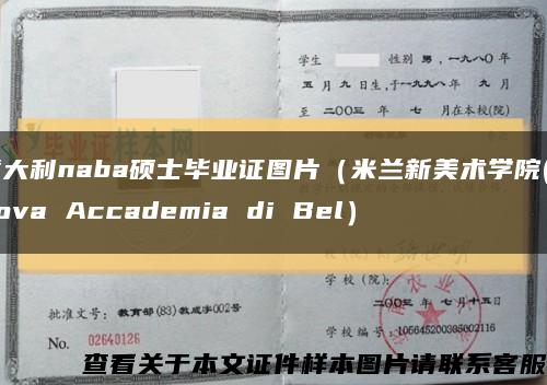 意大利naba硕士毕业证图片（米兰新美术学院(Nuova Accademia di Bel）缩略图