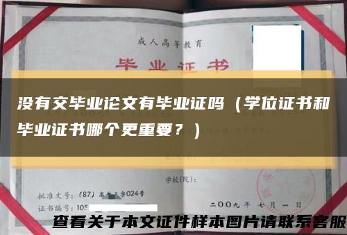 没有交毕业论文有毕业证吗（学位证书和毕业证书哪个更重要？）缩略图