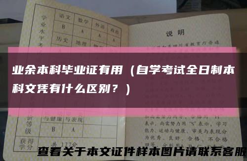 业余本科毕业证有用（自学考试全日制本科文凭有什么区别？）缩略图