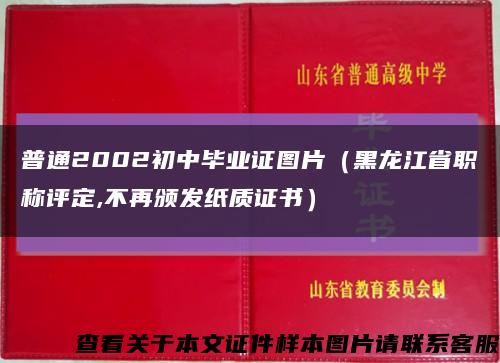 普通2002初中毕业证图片（黑龙江省职称评定,不再颁发纸质证书）缩略图