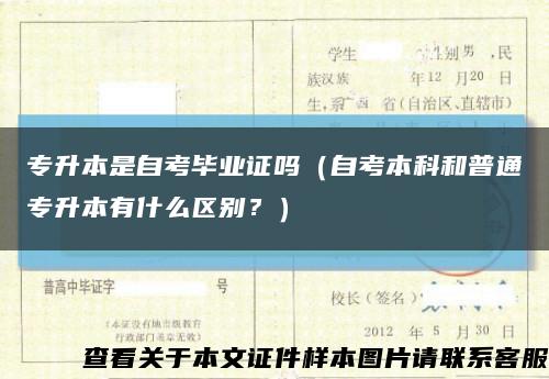 专升本是自考毕业证吗（自考本科和普通专升本有什么区别？）缩略图