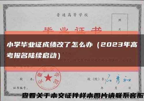 小学毕业证成绩改了怎么办（2023年高考报名陆续启动）缩略图