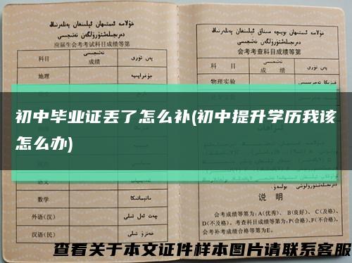 初中毕业证丢了怎么补(初中提升学历我该怎么办)缩略图
