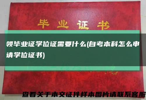 领毕业证学位证需要什么(自考本科怎么申请学位证书)缩略图