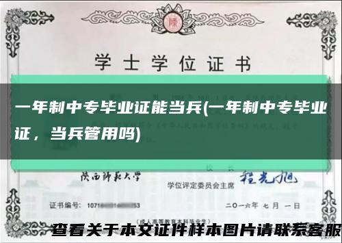 一年制中专毕业证能当兵(一年制中专毕业证，当兵管用吗)缩略图