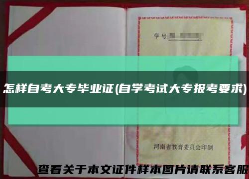 怎样自考大专毕业证(自学考试大专报考要求)缩略图