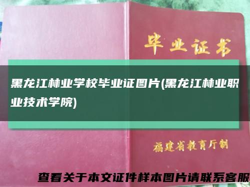 黑龙江林业学校毕业证图片(黑龙江林业职业技术学院)缩略图