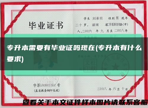 专升本需要有毕业证吗现在(专升本有什么要求)缩略图