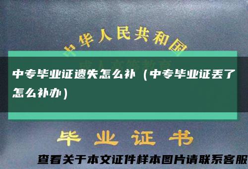 中专毕业证遗失怎么补（中专毕业证丢了怎么补办）缩略图