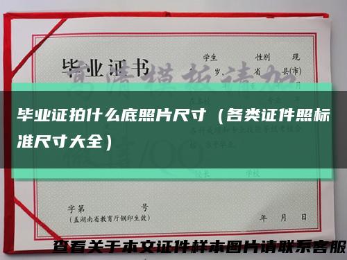 毕业证拍什么底照片尺寸（各类证件照标准尺寸大全）缩略图