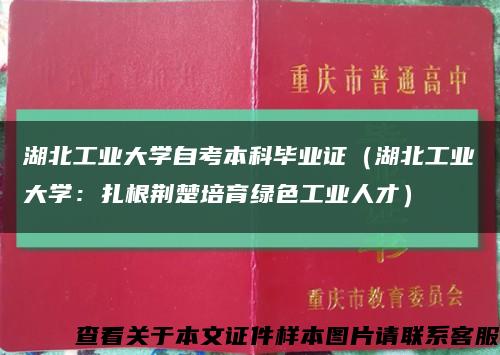 湖北工业大学自考本科毕业证（湖北工业大学：扎根荆楚培育绿色工业人才）缩略图