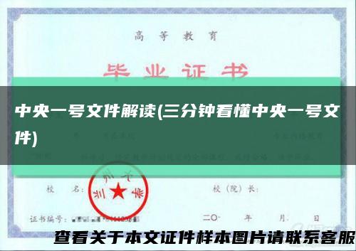 中央一号文件解读(三分钟看懂中央一号文件)缩略图