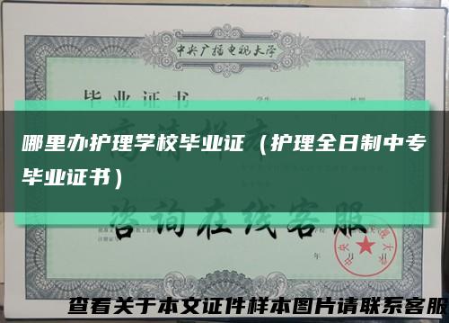 哪里办护理学校毕业证（护理全日制中专毕业证书）缩略图