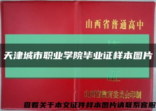 天津城市职业学院毕业证样本图片缩略图