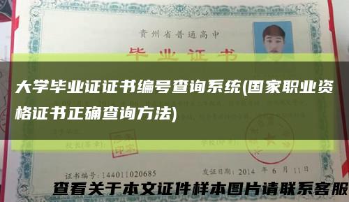 大学毕业证证书编号查询系统(国家职业资格证书正确查询方法)缩略图