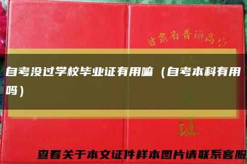 自考没过学校毕业证有用嘛（自考本科有用吗）缩略图