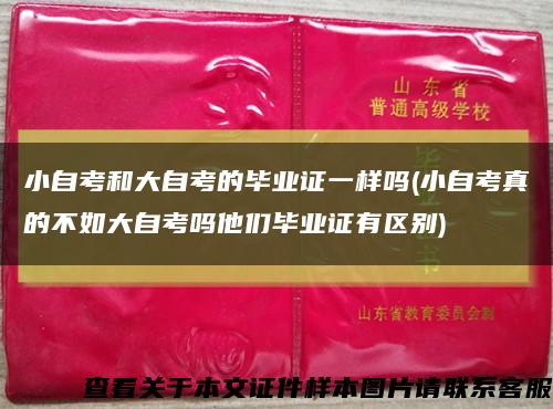 小自考和大自考的毕业证一样吗(小自考真的不如大自考吗他们毕业证有区别)缩略图