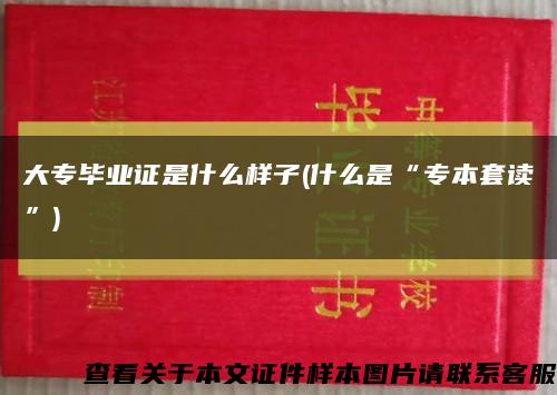 大专毕业证是什么样子(什么是“专本套读”)缩略图