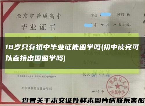 18岁只有初中毕业证能留学吗(初中读完可以直接出国留学吗)缩略图