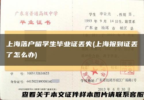上海落户留学生毕业证丢失(上海报到证丢了怎么办)缩略图