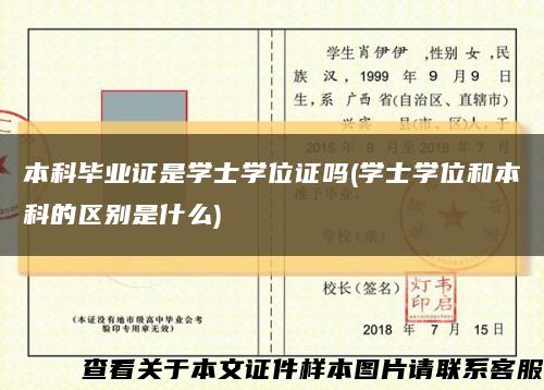 本科毕业证是学士学位证吗(学士学位和本科的区别是什么)缩略图
