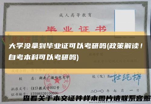 大学没拿到毕业证可以考研吗(政策解读！自考本科可以考研吗)缩略图