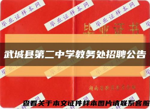 武城县第二中学教务处招聘公告缩略图