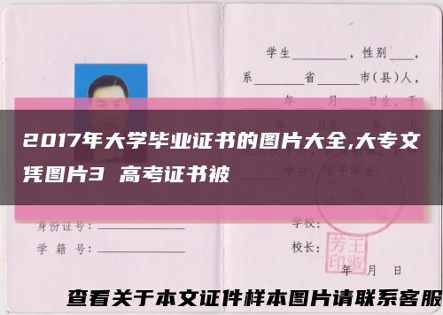 2017年大学毕业证书的图片大全,大专文凭图片3 高考证书被缩略图
