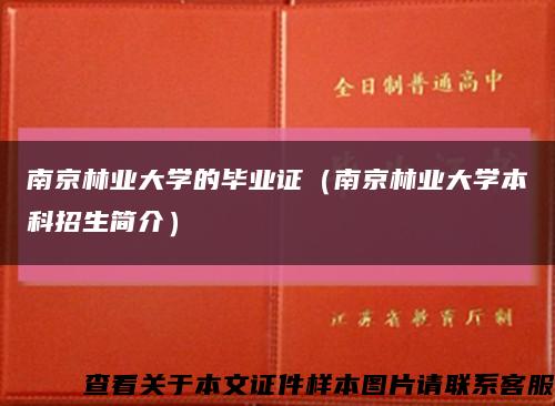 南京林业大学的毕业证（南京林业大学本科招生简介）缩略图