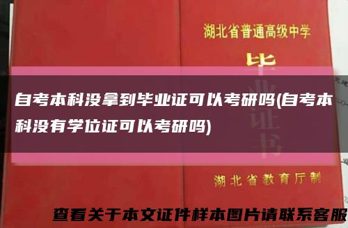 自考本科没拿到毕业证可以考研吗(自考本科没有学位证可以考研吗)缩略图