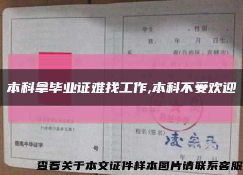 本科拿毕业证难找工作,本科不受欢迎缩略图