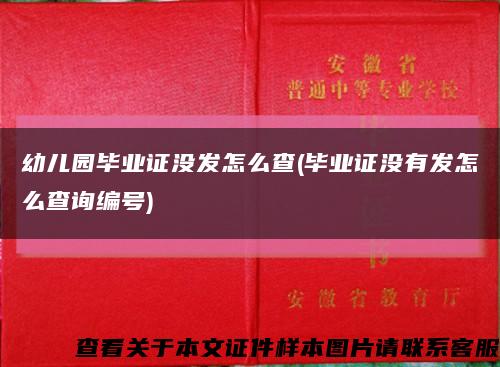 幼儿园毕业证没发怎么查(毕业证没有发怎么查询编号)缩略图