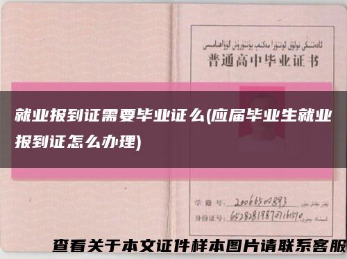 就业报到证需要毕业证么(应届毕业生就业报到证怎么办理)缩略图