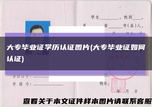 大专毕业证学历认证图片(大专毕业证如何认证)缩略图