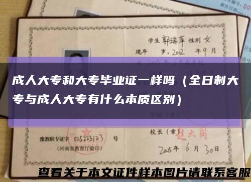 成人大专和大专毕业证一样吗（全日制大专与成人大专有什么本质区别）缩略图