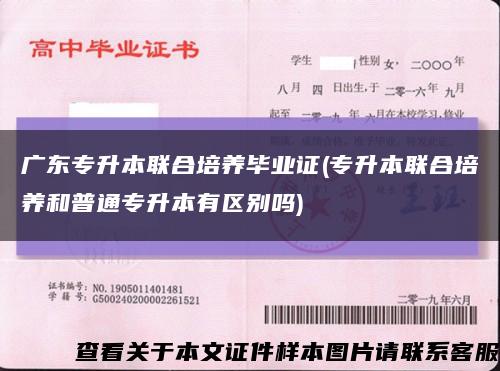 广东专升本联合培养毕业证(专升本联合培养和普通专升本有区别吗)缩略图