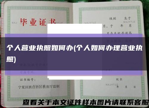 个人营业执照如何办(个人如何办理营业执照)缩略图