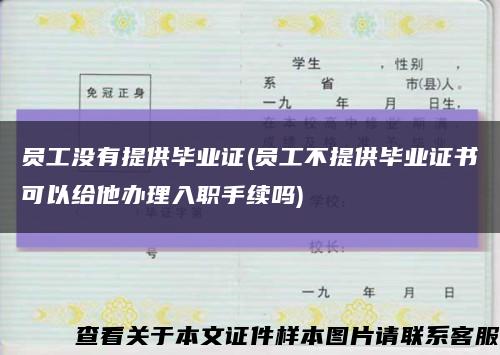 员工没有提供毕业证(员工不提供毕业证书可以给他办理入职手续吗)缩略图