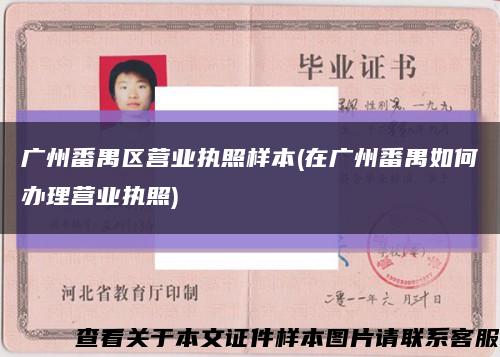 广州番禺区营业执照样本(在广州番禺如何办理营业执照)缩略图