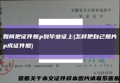 如何把证件照p到毕业证上(怎样把自己照片p成证件照)缩略图