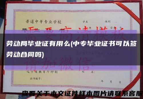 劳动局毕业证有用么(中专毕业证书可以签劳动合同吗)缩略图