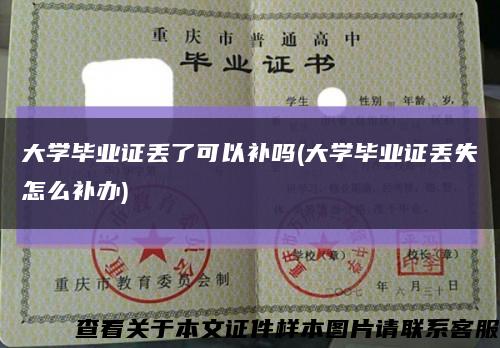 大学毕业证丢了可以补吗(大学毕业证丢失怎么补办)缩略图