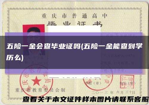 五险一金会查毕业证吗(五险一金能查到学历么)缩略图