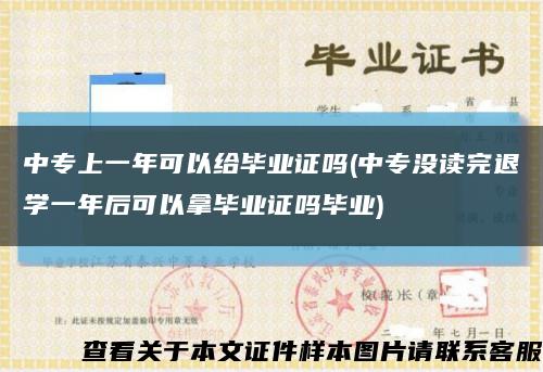 中专上一年可以给毕业证吗(中专没读完退学一年后可以拿毕业证吗毕业)缩略图