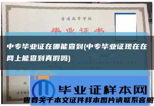 中专毕业证在哪能查到(中专毕业证现在在网上能查到真假吗)缩略图
