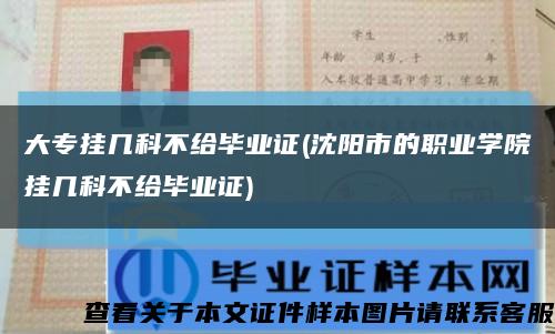 大专挂几科不给毕业证(沈阳市的职业学院挂几科不给毕业证)缩略图