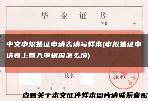 中文申根签证申请表填写样本(申根签证申请表上首入申根国怎么填)缩略图