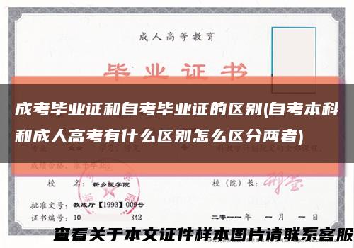 成考毕业证和自考毕业证的区别(自考本科和成人高考有什么区别怎么区分两者)缩略图